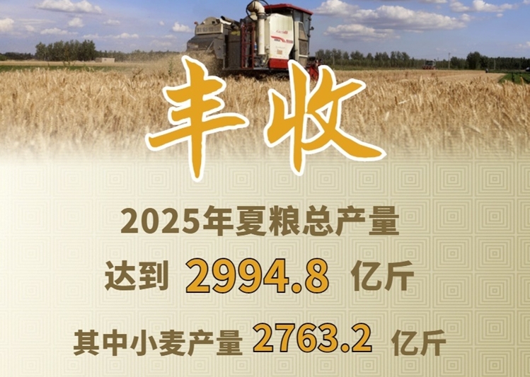 今年我国夏粮实现稳产丰收